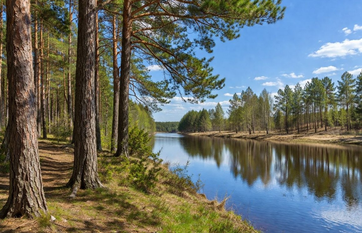 Новые дивиденды, первое IPO в 2026 году, размещения облигаций и другие новости в обзоре главных событий недели