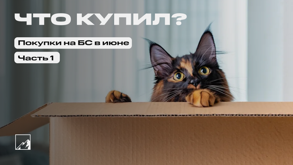 🏆 Новые рекорды по пассивному доходу. Пополнил брокерский счёт на 200 000 в июне (1,2 млн с начала года). Что купил? Часть 1