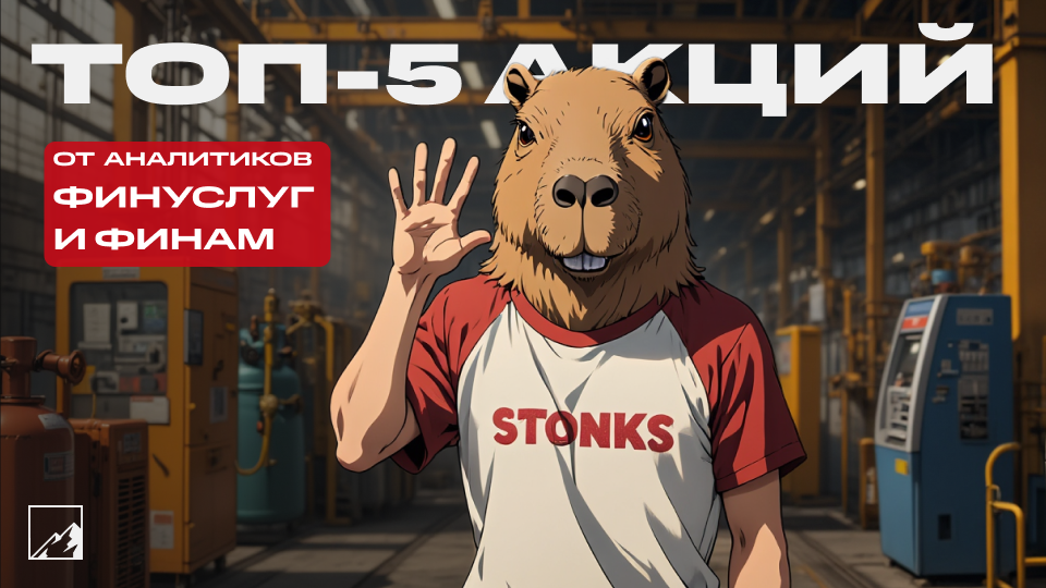 💎 Топ-5 надёжных акций для любителей дивидендов и туземуна от аналитиков Финам и Финуслуг