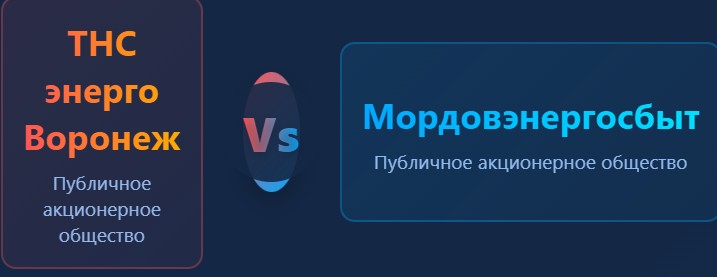 Сравнительный анализ ПАО "Мордовская энергосбытовая компания" и ПАО "ТНС энерго Воронеж"
