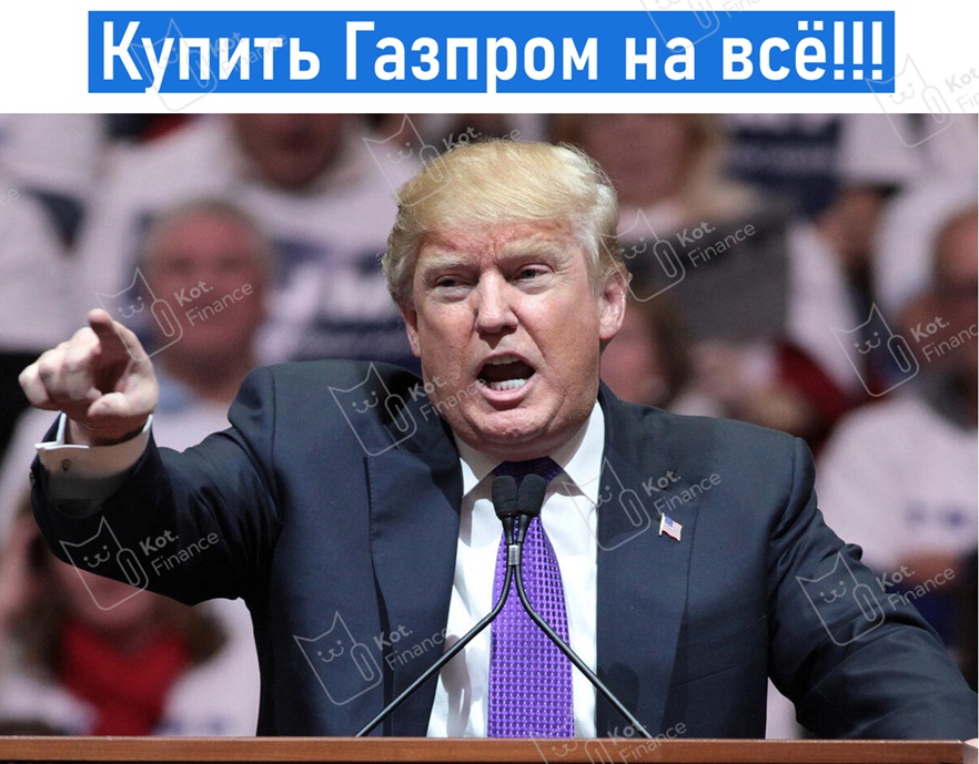 ⭐️Котайджест🐾 Трамп всё-таки наш, синоптики прогнозируют рост. ОФЗ снова в моде, новогоднее ралли едет в Будапешт🎅