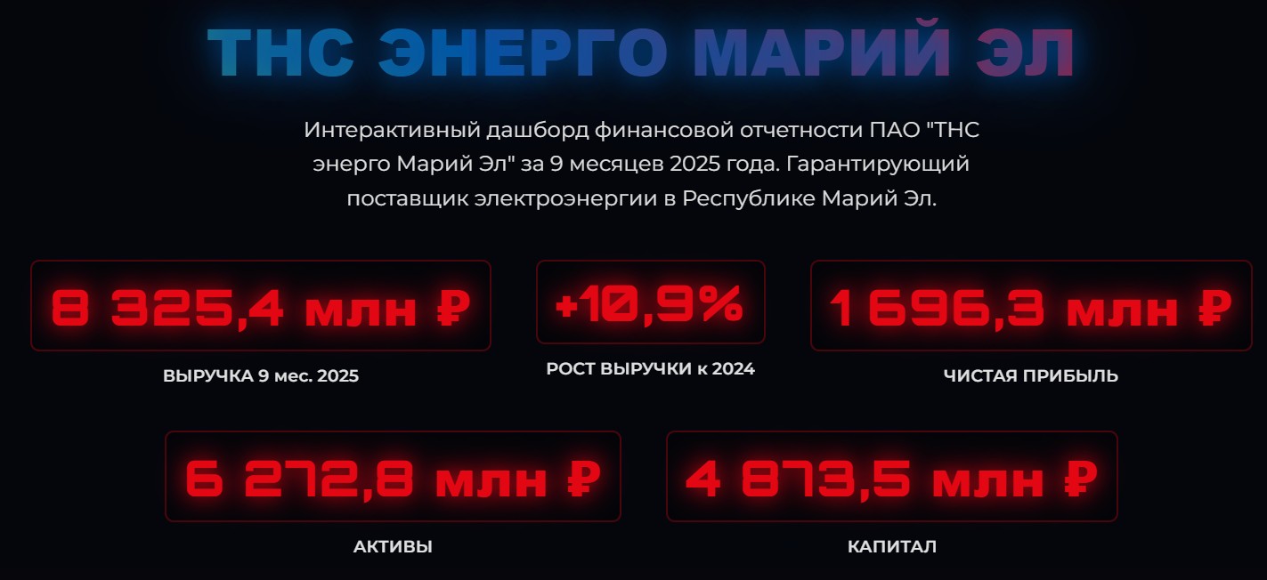 Интерактивный дашборд финансовой отчетности ПАО "ТНС энерго Марий Эл" за 9 месяцев 2025 года.