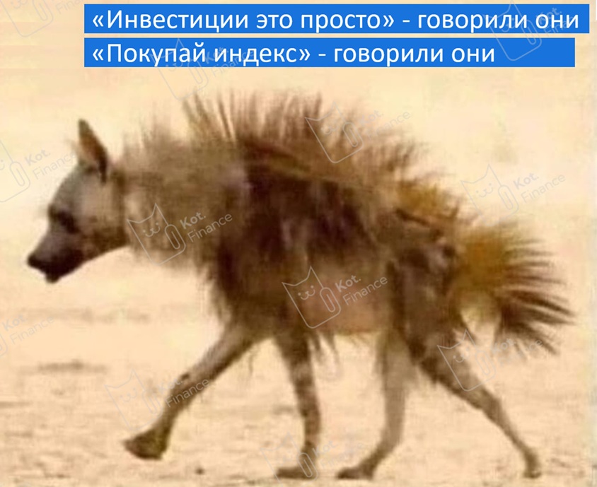 ⭐️Котайджест🐾 обвал в крипте, гос.облигациях, и даже Сбербанке. Будет ли новогоднее ралли? 🎅Найден актив, который растет, и это не золото!