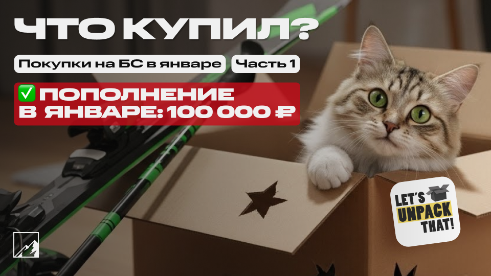 🏆 Первые покупки в году. Пополнил брокерский счёт на 100 000 в январе. Что купил? Часть 1