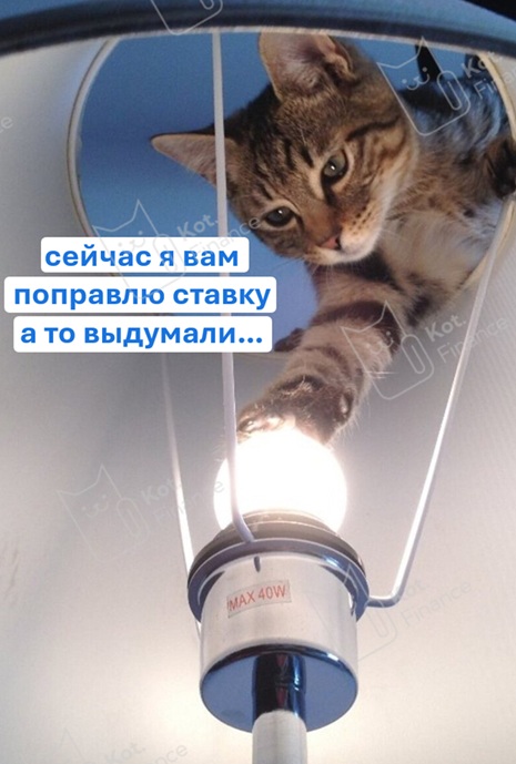 ⭐️Главная проблема пассивного дохода в облигациях - оферты❗️Оферта, которая требует внимания ⚡️ФСК-Россети