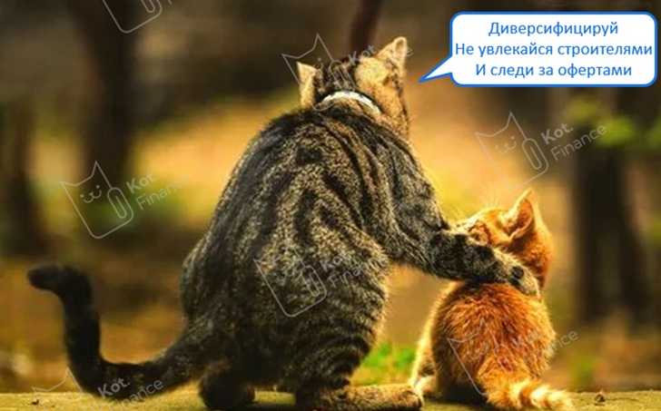 ⭐️Портфель внучков от Кот.Финанс👀 (июнь 🪴🌴)