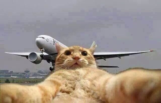 ✈️ Самолет: мы завершаем взлет, спасибо что выбрали нашу авиа строительную компанию