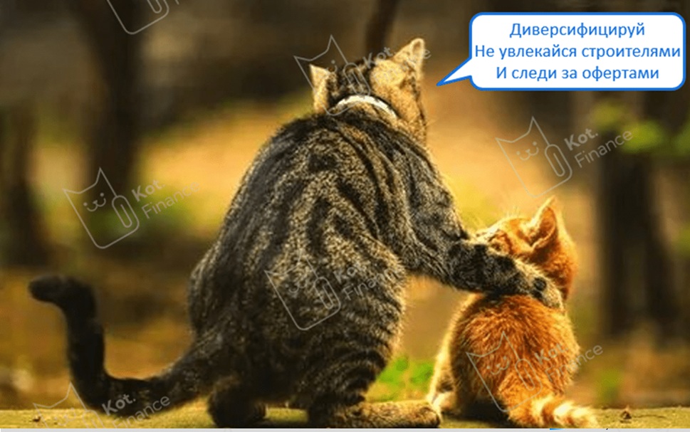 ⭐️Портфель внучков от Кот.Финанс👀 (ноябрь 🥶☃️)