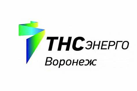 ПАО «ТНС энерго Воронеж» 2023–2025
Рост выручки, высокая рентабельность, сильная ликвидность