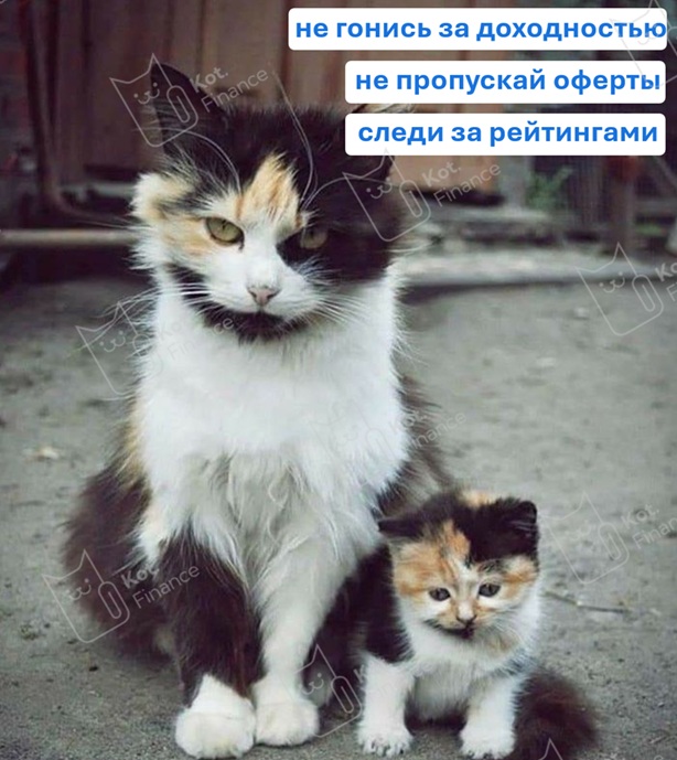 ⭐️Портфель облигаций для внучков от Кот.Финанс👀 (декабрь) 🎄☃️