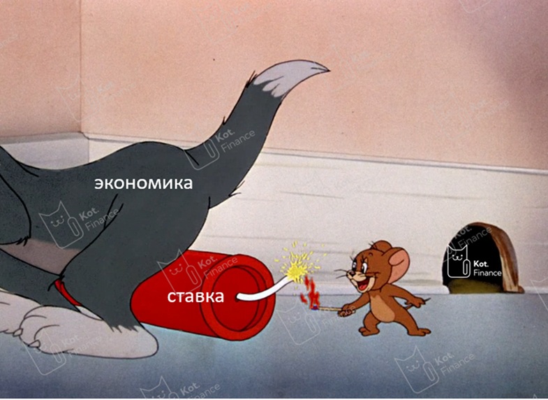 ⭐️Котайджест🐾 первое IPO в 2025, большой обзор конференции Smart-Lab, стоит ли покупать акции MOEX и серия оферт