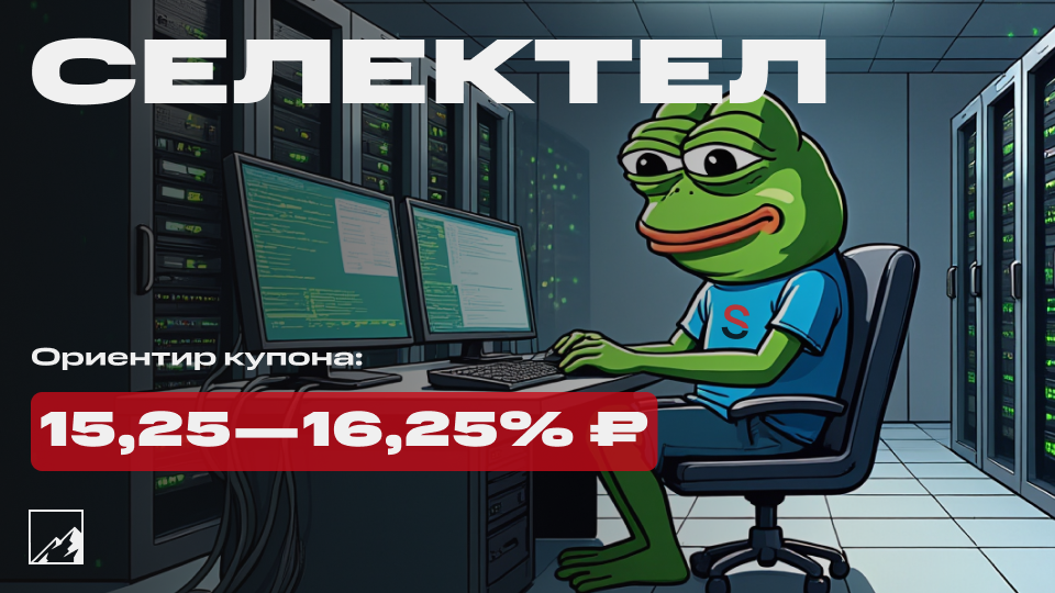 🌩️ 16,25% на облаках. Свежие облигации Селектел 1Р6 на размещении. Засервачиваем портфели?