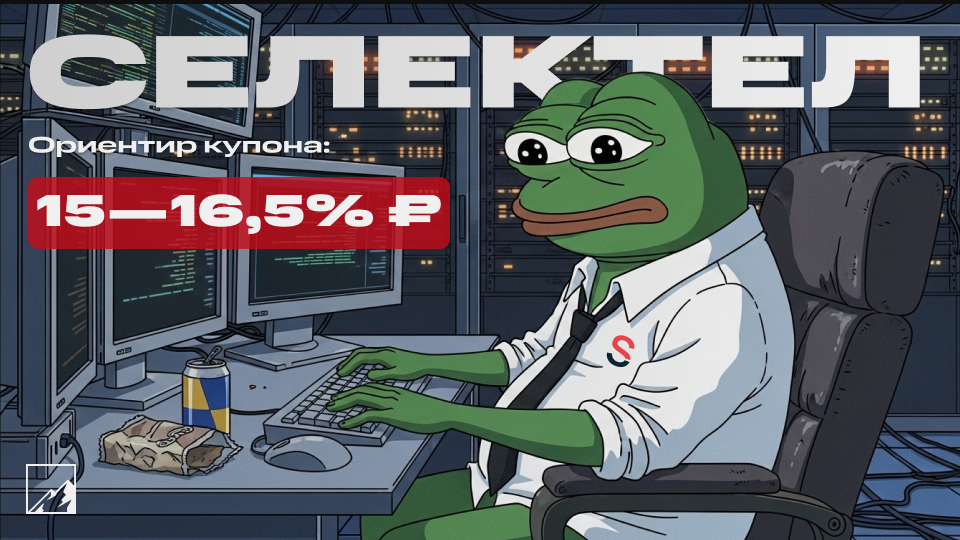 🌩️ 16,5% на облаках. Свежие облигации Селектел 1Р6 на размещении. Засервачиваем портфели?