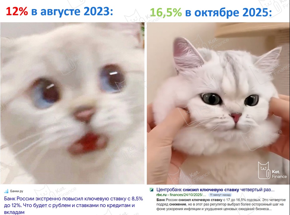 ⭐️Котайджест🐾 подарок от ЦБ оказался с привкусом 💩