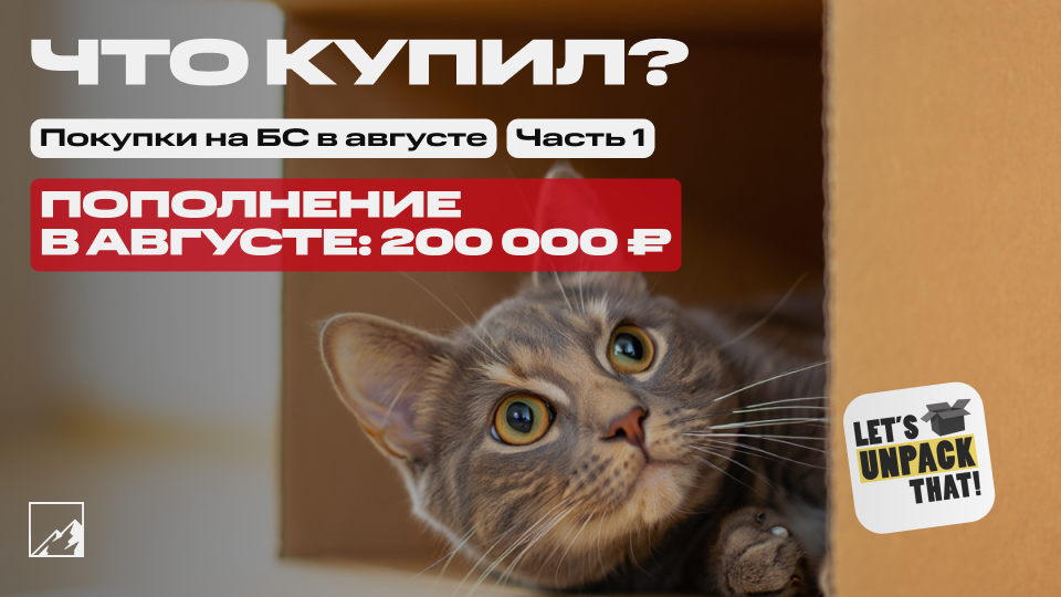 🏆 Ого, снова рост! Пополнил брокерский счёт на 200 000 в августе + весь пассивный доход реинвестирую. Что купил? Часть 1