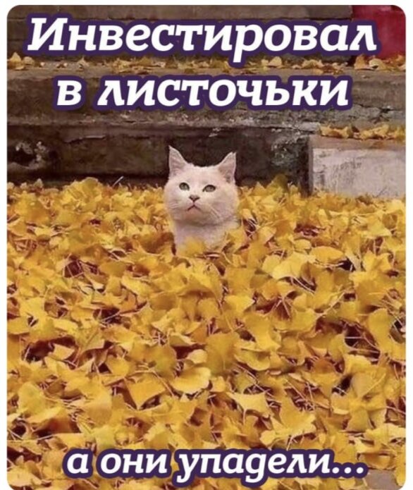 Инвестиции глазами предпринимателя.