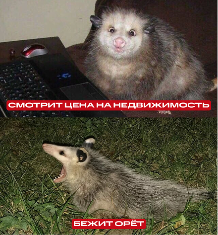 🏠 Почему ипотека не стала доступнее? Что будет с недвижкой в 2026? И что произошло с ценами в Москве и Сочи за месяц?