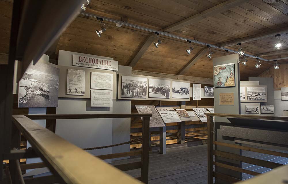 Общий вид выставки