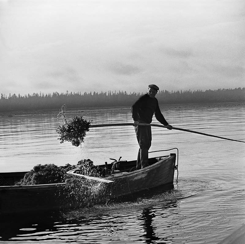 Виктор Ахломов