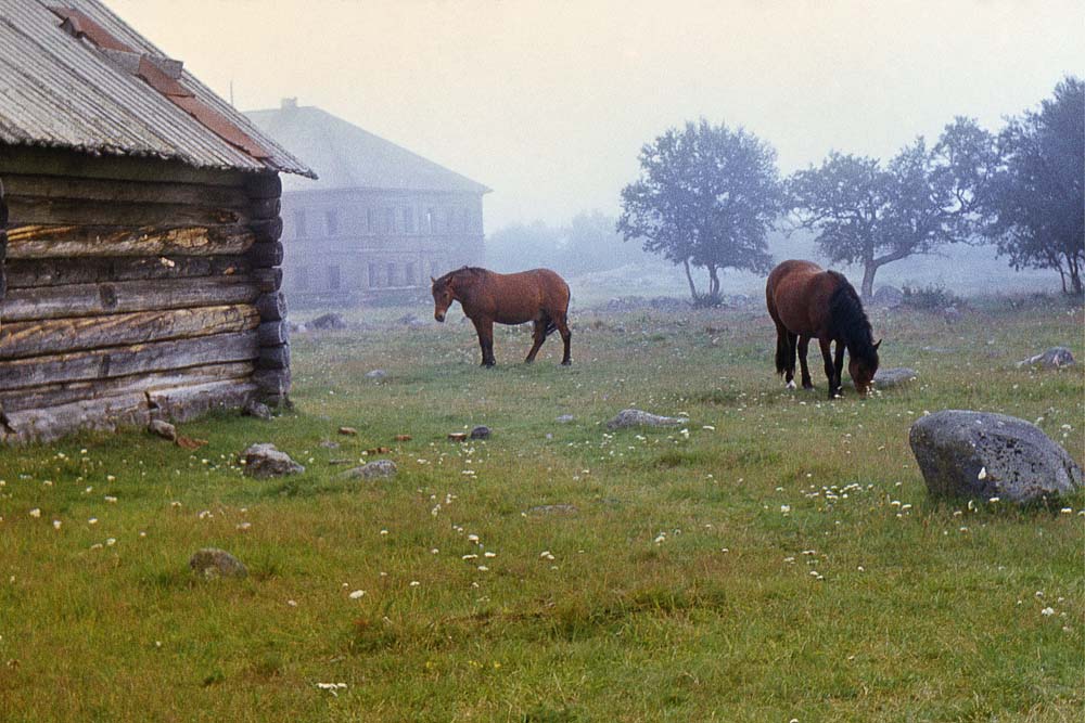 Борис Ведьмин