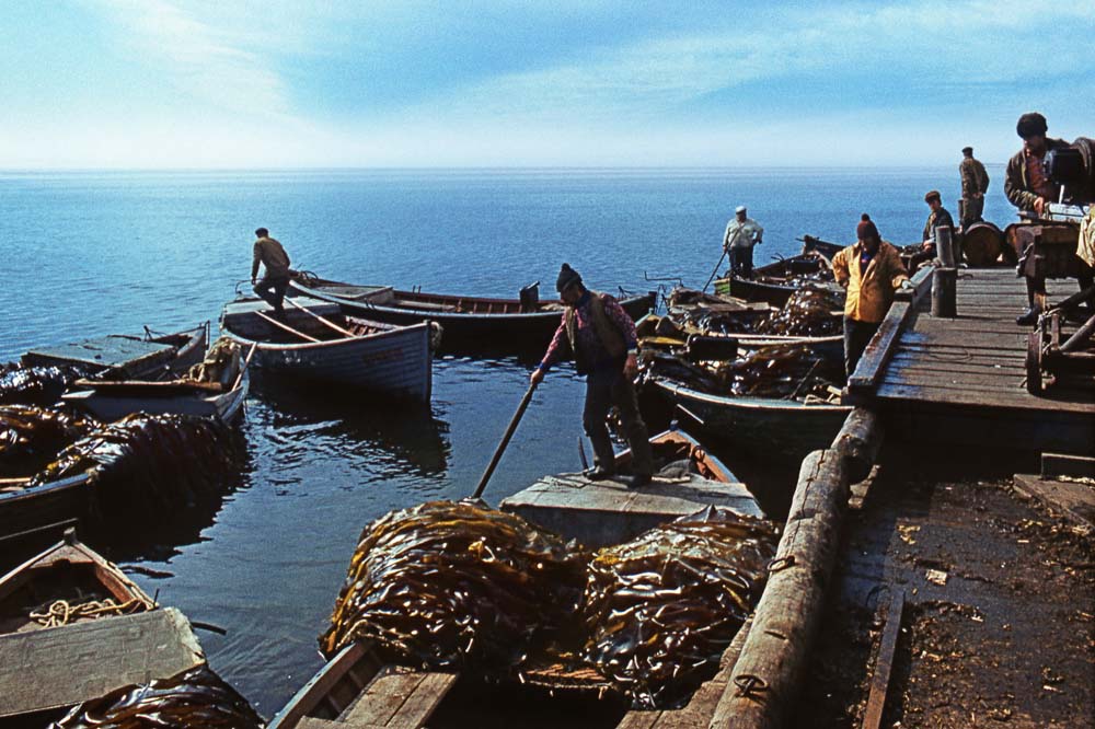 Борис Ведьмин