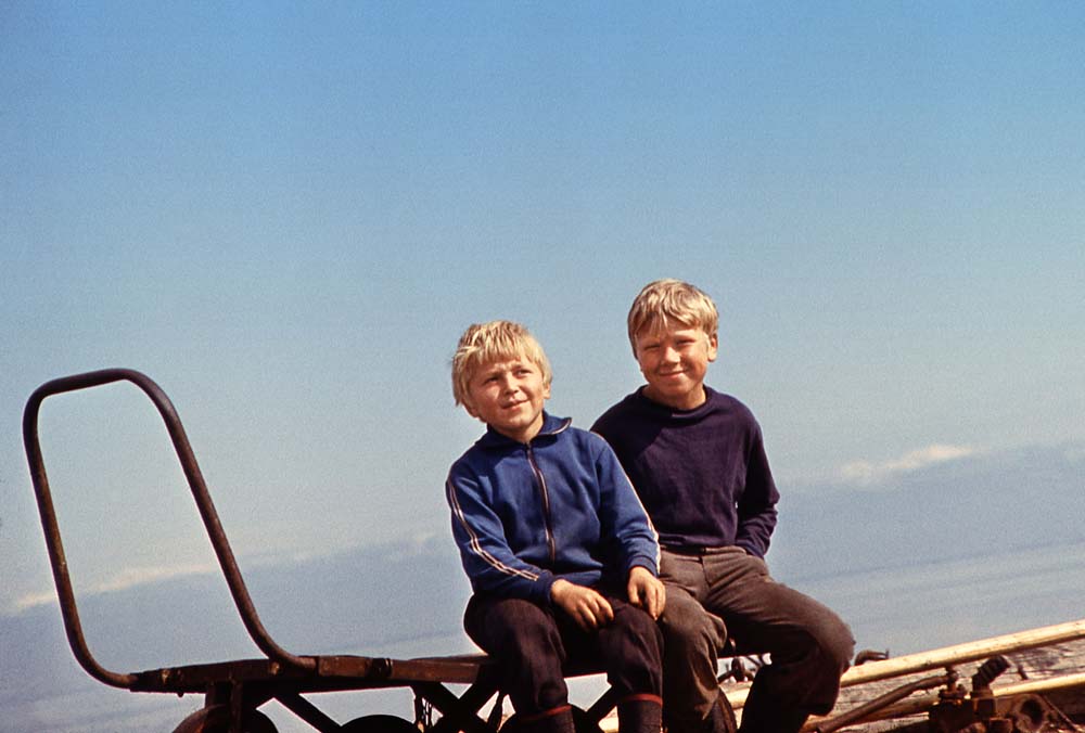 Борис Ведьмин