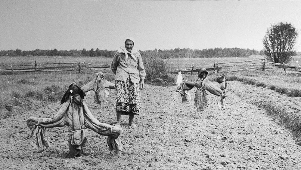 Баба Дуня на огороде, д. Усачево, Каргопольский р-н, 1985 г.