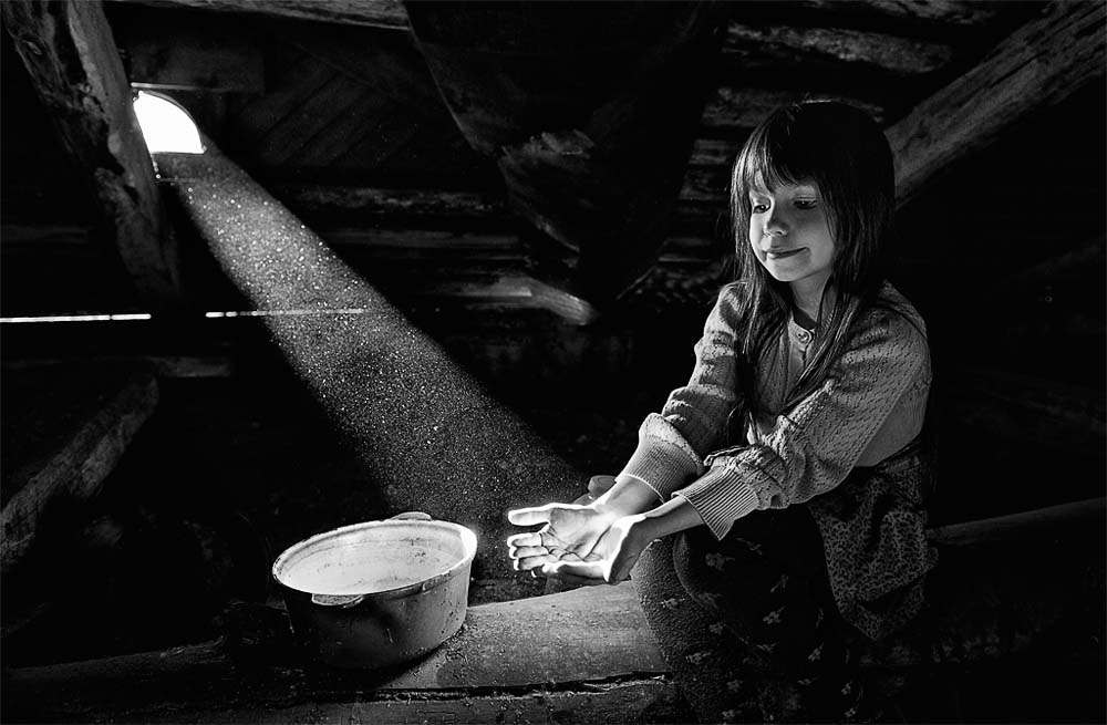 «Я соберу в ладошки свет» (Алиса Шошина). Архангельск