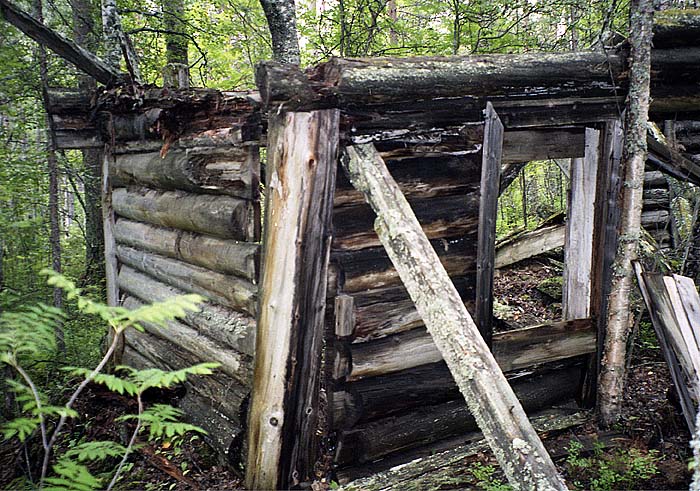 Кондостров. Руины деревянного здания в лагерном пункте «Абакумиха»