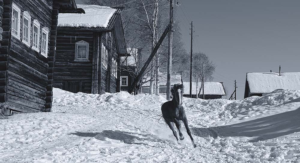«На скаку» из серии «Лешуконь»