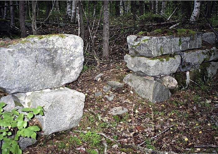 Фундаменты келейного корпуса Кондостровского скита