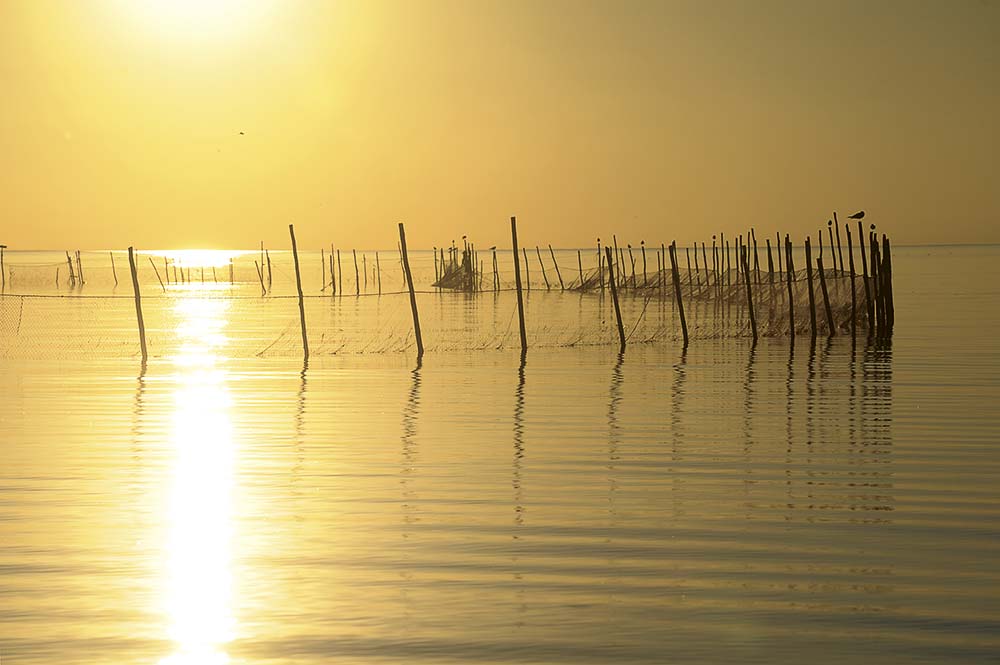 «На закате»