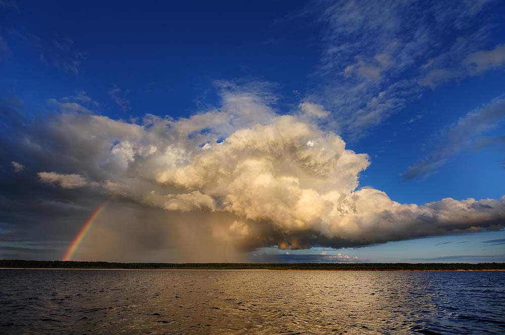 «Контрасты»