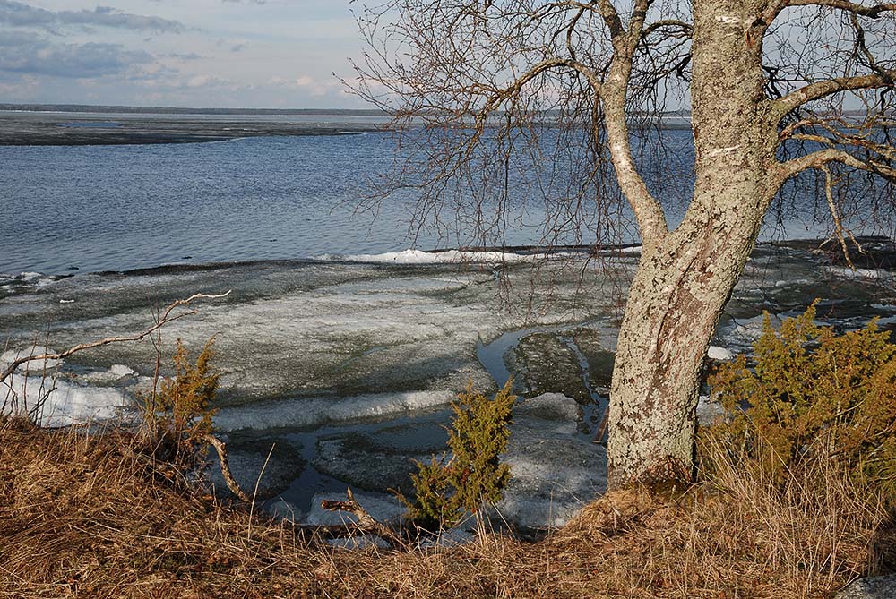 «Перед началом»
