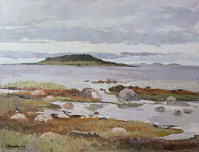 Большой Заяцкий остров