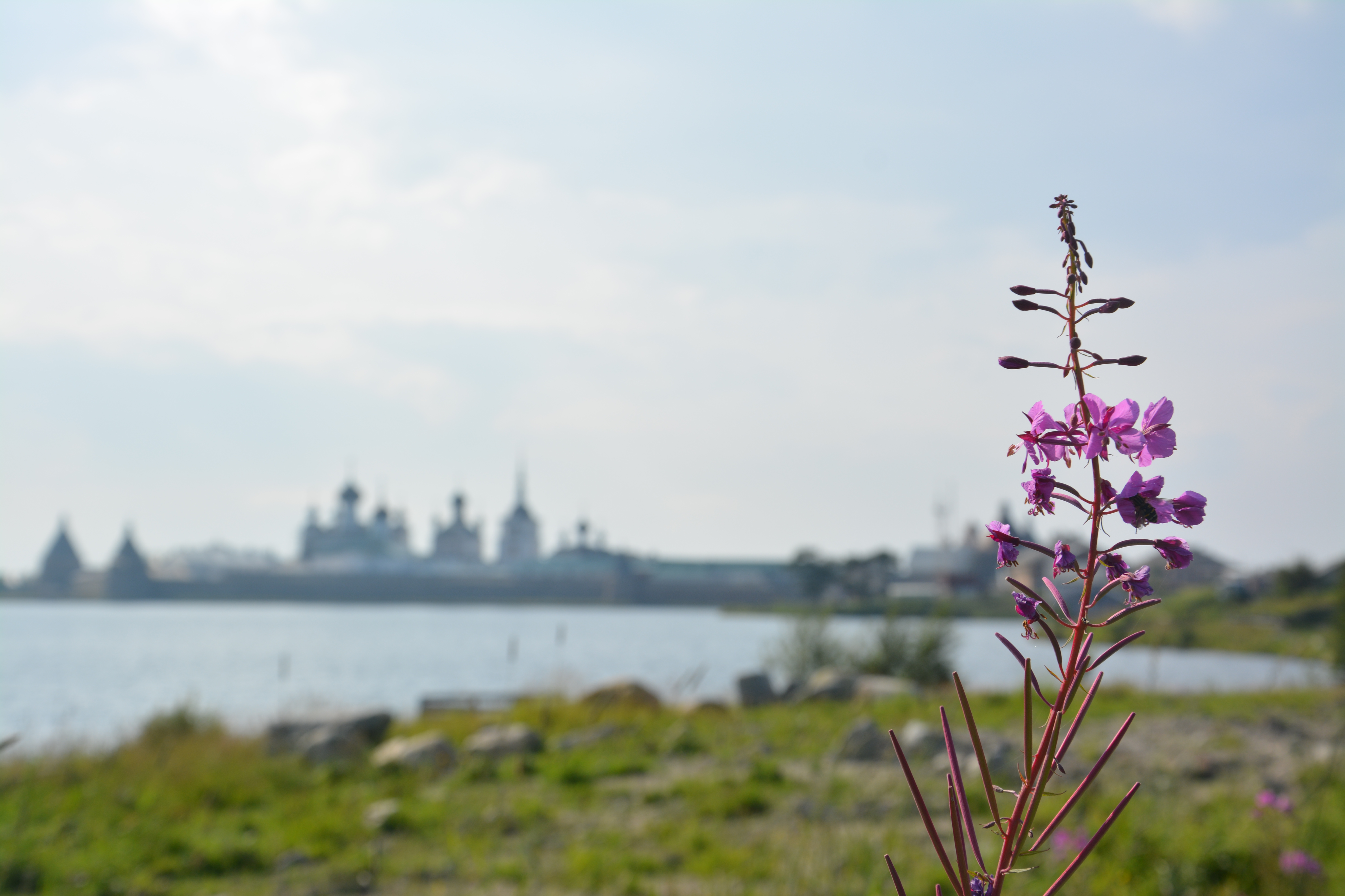 Альманах «Соловецкое море»-2026