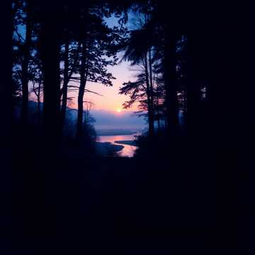 Фламенко