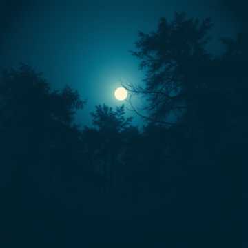 Moon Over Cedar
