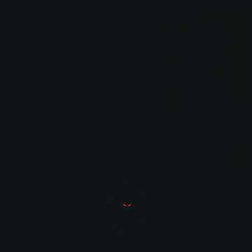 0000