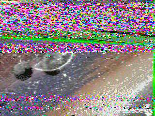 Фотография со спутника