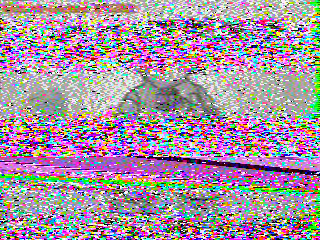 Фотография со спутника