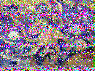 Фотография со спутника