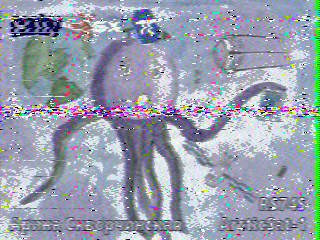 Фотография со спутника