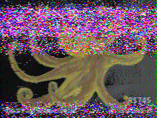 Фотография со спутника