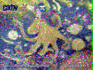 Фотография со спутника