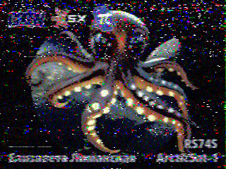 Фотография со спутника