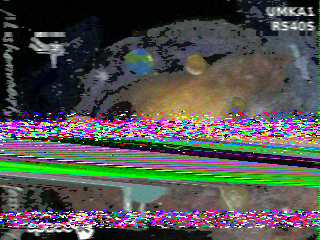 Фотография со спутника