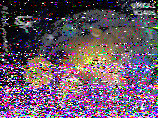 Фотография со спутника