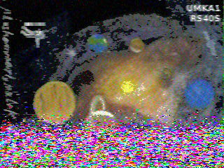 Фотография со спутника