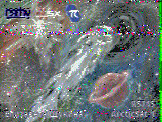 Фотография со спутника